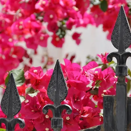 Apartamento Ianthia Galaxídhion